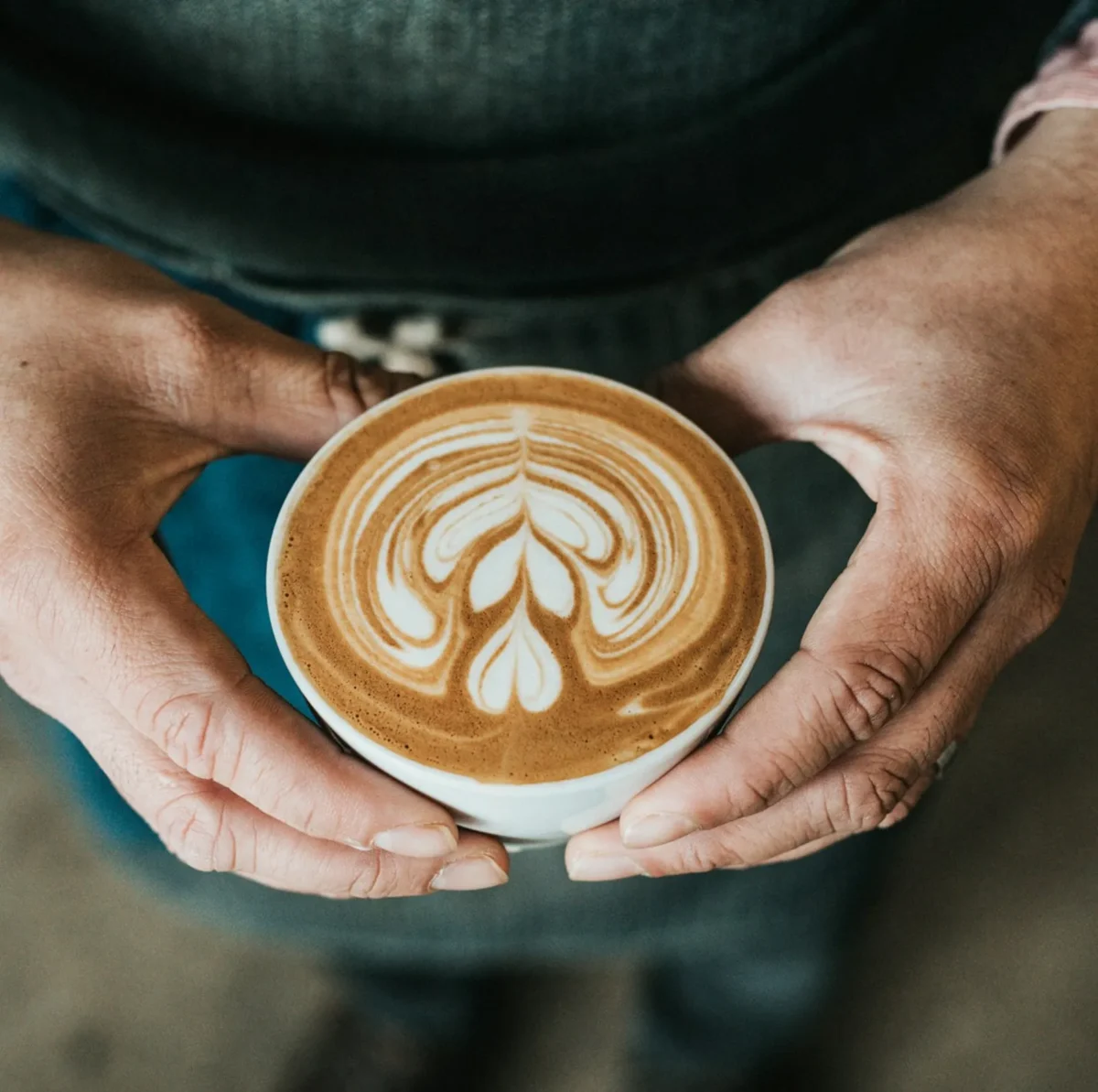 Hành trình của Gé Cafe
